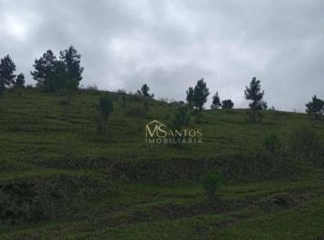 0eaa8e8252424276cf08b8699a7616d4c91bfa58 · Sítio à venda, 218000 m² por R$ 650.000,00 - Taquaraçutuba - Imaruí/SC