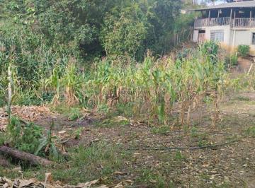 Rural · 360m² · 1 Quarto · 2 Vagas · Chácara à venda no Cachoeirinha em Bocaiuva do Sul/PR