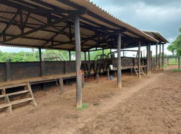 Imagem 1 · Fazenda