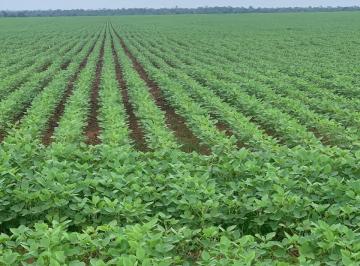Imagem 1 · Fazenda