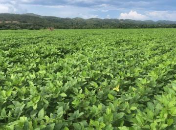Imagem 1 · Fazenda