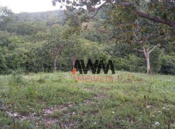 Imagem 1 · Fazenda