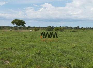 Imagem 1 · Fazenda