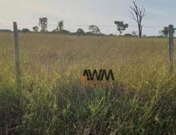 Imagem 1 · Fazenda