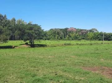 Foto 01 · Sítio área de 10,2 alqueires, 4,5 alqueires mecanizados, 5 em pasto, restante em reserva em Cascavel