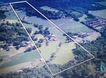 Foto 01 · Sítio área de 10,2 alqueires, 4,5 alqueires mecanizados, 5 em pasto, restante em reserva em Cascavel