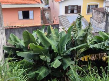foto1 · Terreno à venda - Jardim Peri Peri - São Paulo/SP - 250m²