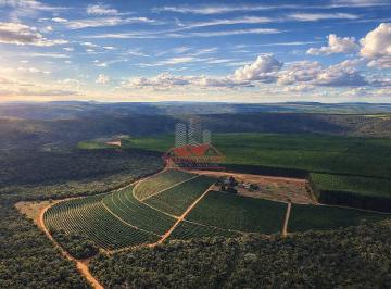 Amplitude produtiva: Talhões planejados com foco em mecanização e aproveitamento máximo do solo argiloso. · Fazenda de Café em Novo Cruzeiro MG | 3.186 Ha Irrigados