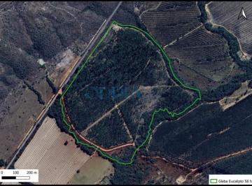 Foto 01 · Fazenda na Chapada dos Veadeiros - Potencial Turístico e Produtivo - 11 Km de Alto Paraíso