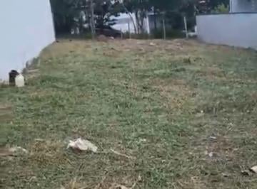 Terreno , Bragança Paulista · Terreno plano 250m Jardim Vista Alegre Bragança Paulista