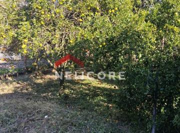Terreno · 495m² · Lote em Rodovia Teixeirinha - Morungava II (Morungava) - Gravataí/RS