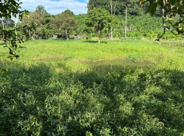 Rural de 3 quartos, Sete Barras · SITIO PRODUTIVO EM SETE BARRAS/SP, 12 MIL PÉS DE PALMITO PUPUNHA, PASTO E RIO NA DIVISA DO IMÓVEL