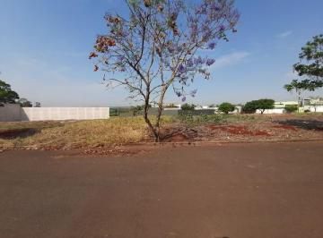 Photo_0 · 
                Oportunidade Única em AGUAI - SP | Tipo: Terreno | Negociação: Leilão  | Situação: 