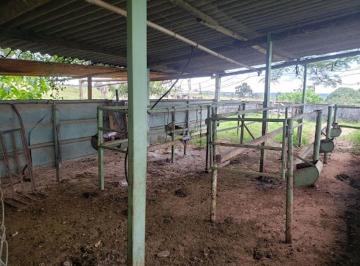 Rural · 176m² · 8 Quartos · Sítio à venda no bairro Cazeca - Uberlândia/MG
