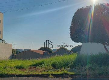 745361dbe01325eafcc763dfe21016526de98965 · Terreno à venda, 250 m² por R$ 225.000,00 - Jardim Europa - Jaguariúna/SP