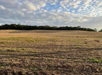Terreno · 20000m² · Terreno em São Marcos, São José dos Pinhais/PR de 20000m² à venda por R$ 1.300.000,00