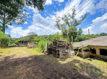 Imagem 9 · Sítio para venda em Jardim Novo Parelheiros, São Paulo