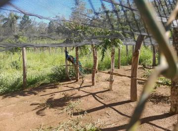 Imagem 1 · Fazenda