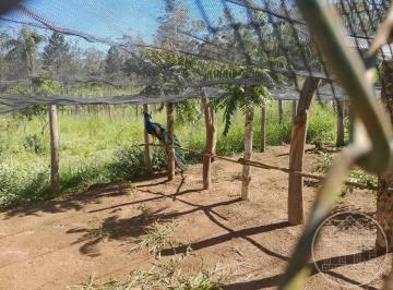 Imagem 1 · Sítio para venda em Engenheiro Marsilac, São Paulo