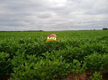 Imagem 1 · Fazenda