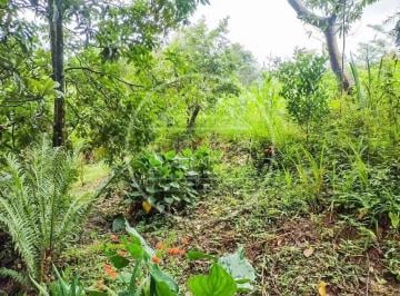 Imagem 1 · Chácara para venda em Barragem, São Paulo
