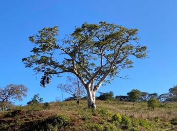 Terreno , Araçoiaba da Serra · Terrenos próximo a Sorocaba