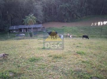 Casa · 365m² · 4 Quartos · 2 Vagas · Sítio à Venda com 86.140 m² em Ibirama/SC