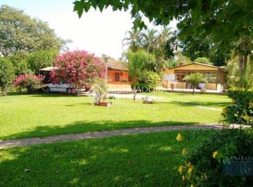 Rural · 250m² · 3 Quartos · Sitio-Chacara à Venda no bairro Sítio Ipiranga com 6000m²