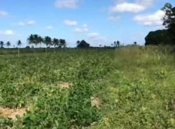 Terreno á venda Povoado Colonia Treze/Salgado SE · Terreno á venda Povoado Colonia Treze/Salgado SE