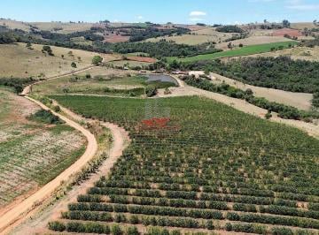 Cafezal com manejo 100% mecanizado, otimizando custos e eficiência operacional. · Fazenda de Café em Divinolândia SP | 206ha Alta Produção