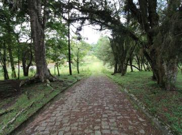 Rural , São José dos Pinhais · CHÁCARA DE 86.000M² EM SÃO JOSÉ DOS PINHAIS, HÁ 300M² DA BR 376