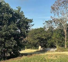 4cee8f242b3231245e7e1f72e7a4bfaab1f77765 · Sítio com 4 dormitórios à venda, 212000 m² - Área Rural de Jaguariúna - Jaguariúna/SP