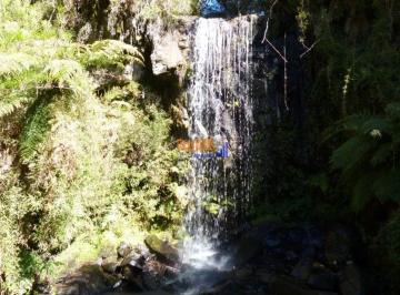 cy4op7m2owvlota0ytcyytm0_md · Sitio Tres Cachoeiras Serra Catarinense nascente, vista, casa, araucarias