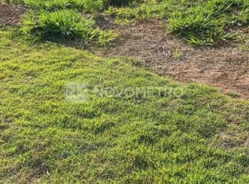 227877.jpg · Terreno à venda em Campinas – Condominio Alphaville Dom Pedro Zero Campinas/SP. 412 m²