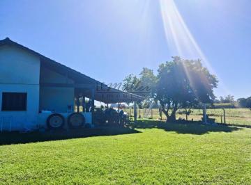 Imagem 1 · Fazenda