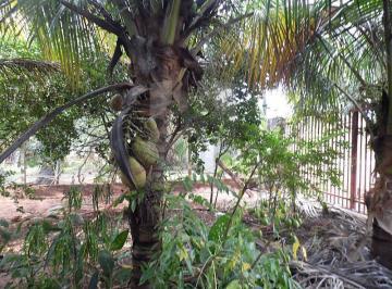 Imagem 1 · Fazenda