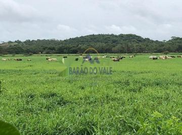 Rural , Registro · Fazenda à Venda, Registro / SP – 295 Hectares com Estrutura Completa, Máquinas e Alto Potencial Prod