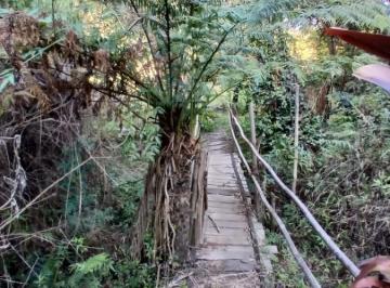 202605061723491643.jpg · Sítio para Venda em Baependi, Serra da Paula