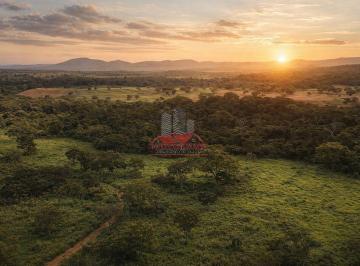 Pôr do sol na fazenda em Porangatu, unindo potencial produtivo e beleza natural. · Fazenda 116 Alq em Porangatu GO | Pecuária e Energia Solar