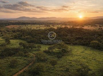 Pôr do sol na fazenda em Porangatu, unindo potencial produtivo e beleza natural. · Fazenda 116 Alq em Porangatu GO | Pecuária e Energia Solar