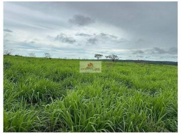 00989c7d00eaf20ecb9a8c95107da619.jpg · Fazenda na região de Turilandia-MA, com 4.400 hectares, dupla aptidão, soja e pecuária, com casa sed