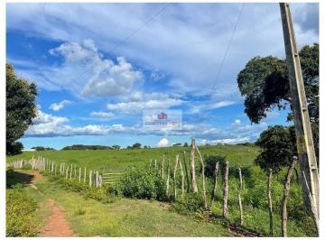 161696141a8d875b8d540f7afecc3802.jpg · Fazenda na região de Teresina, com 1228 hectares, dupla aptidão