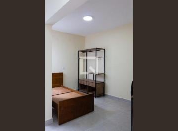 Apartamento · 20m² · 1 Quarto · Apartamento para Aluguel - Butantã, 1 Quarto,  20 m² - São Paulo
