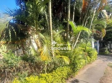 f036c60e369910e0f333106588988102cfbfcc86 · Casa com 4 dormitórios à venda, 300 m² por R$ 2.350.000,00 - Alto da Lapa - São Paulo/SP