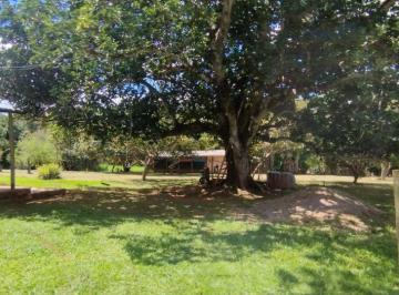 Rural de 3 quartos, Santo Antônio do Descoberto · Fazenda 75 hectares porteira fechada