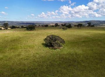 Rural de 3 quartos, Santo Antônio do Descoberto · Fazenda 75 hectares porteira fechada