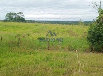 Rural , Registro · Fazenda à Venda em Registro – 202 Hectares com Gado, Estrutura Completa e Beira do Rio