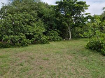 Terreno · 11000m² · Terreno Padrão em SALVADOR
