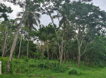 Terreno · 2300m² · Terreno Padrão em CAMAÇARI