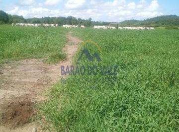 Rural , Juquiá · Fazenda à Venda em Juquiá – 40 Alqueires com Estrutura Completa